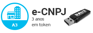 e-CNPJ A3 em Token