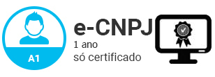 e-CNPJ A1 sem Mídia