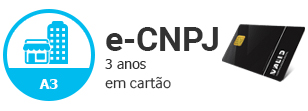 e-CNPJ A3 em Cartão